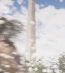 Flagler Memorial Monument — in GTA 6 (in-game)