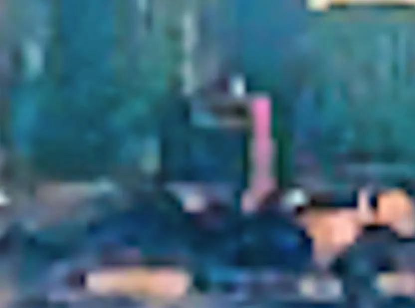 ?, Peacock Bay — in GTA 6 (in-game)