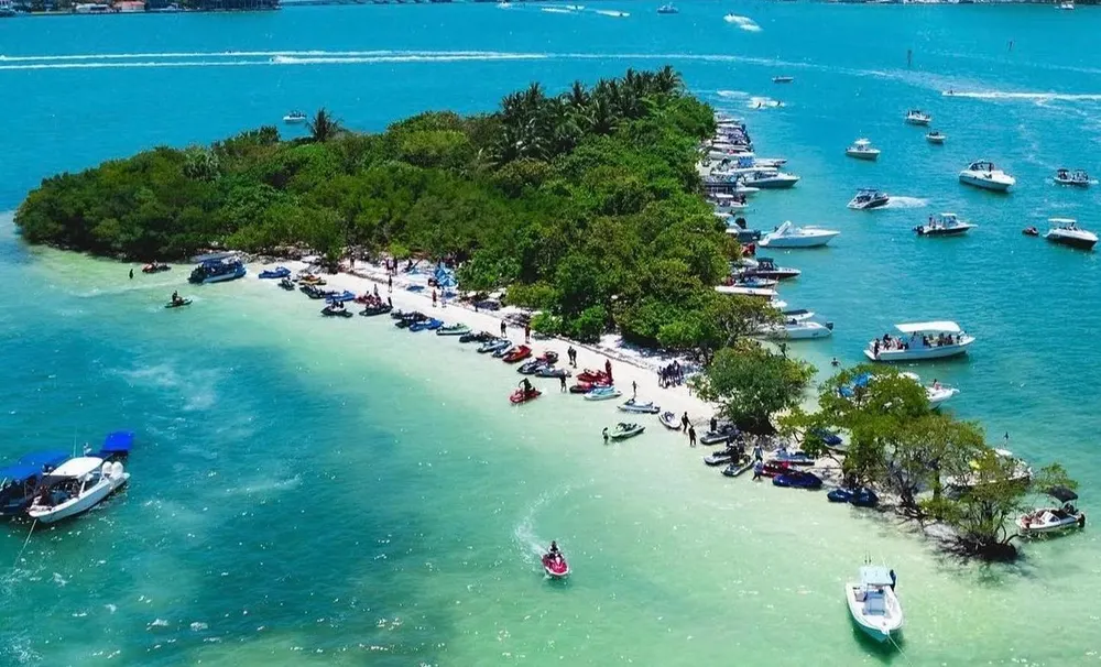 Pace Picnic Island — in real life