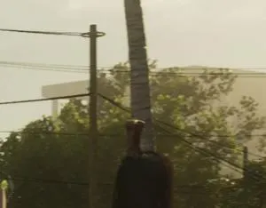?, La Perle — in GTA 6 (in-game)