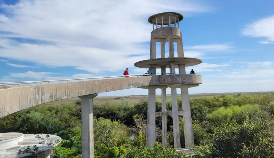 Shark Valley Observation Tower — in real life